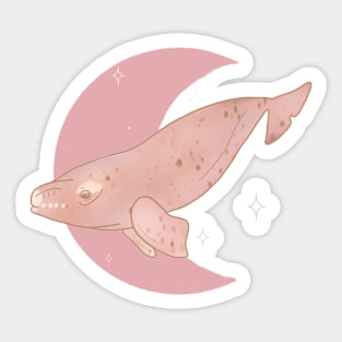 Right Whale Crescent - Rose Sticker